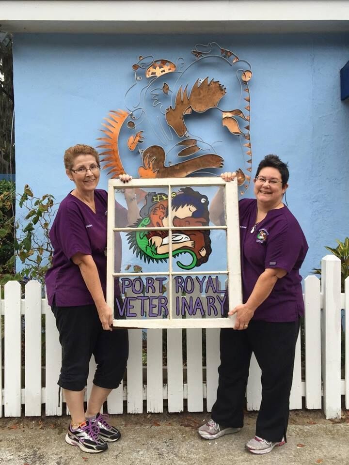 port royal veterinary hospital staff