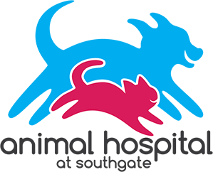 south gate animal hospital