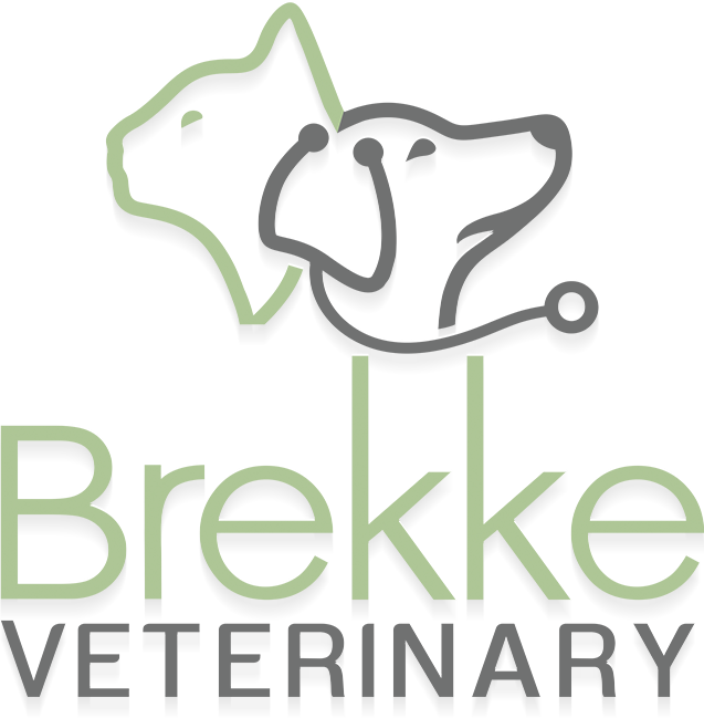 Brekke Veterinary Clinic logo