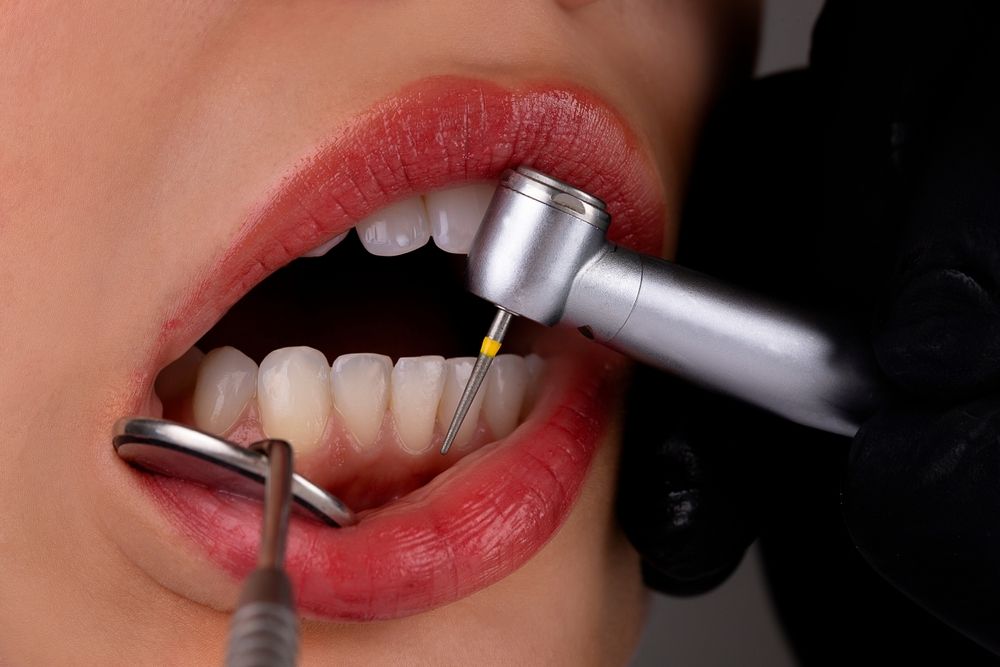 ​​​​​​​