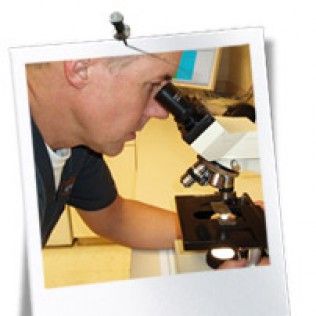 Laboratory Services