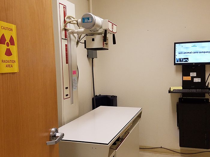 Radiology Services