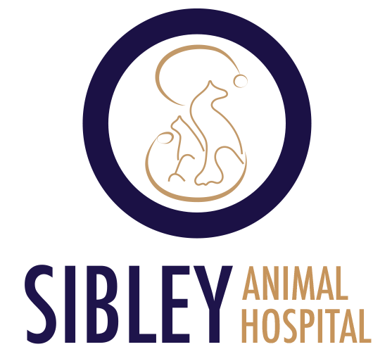 Sibley Animal Hospital Veterinarian In Calumet City Il