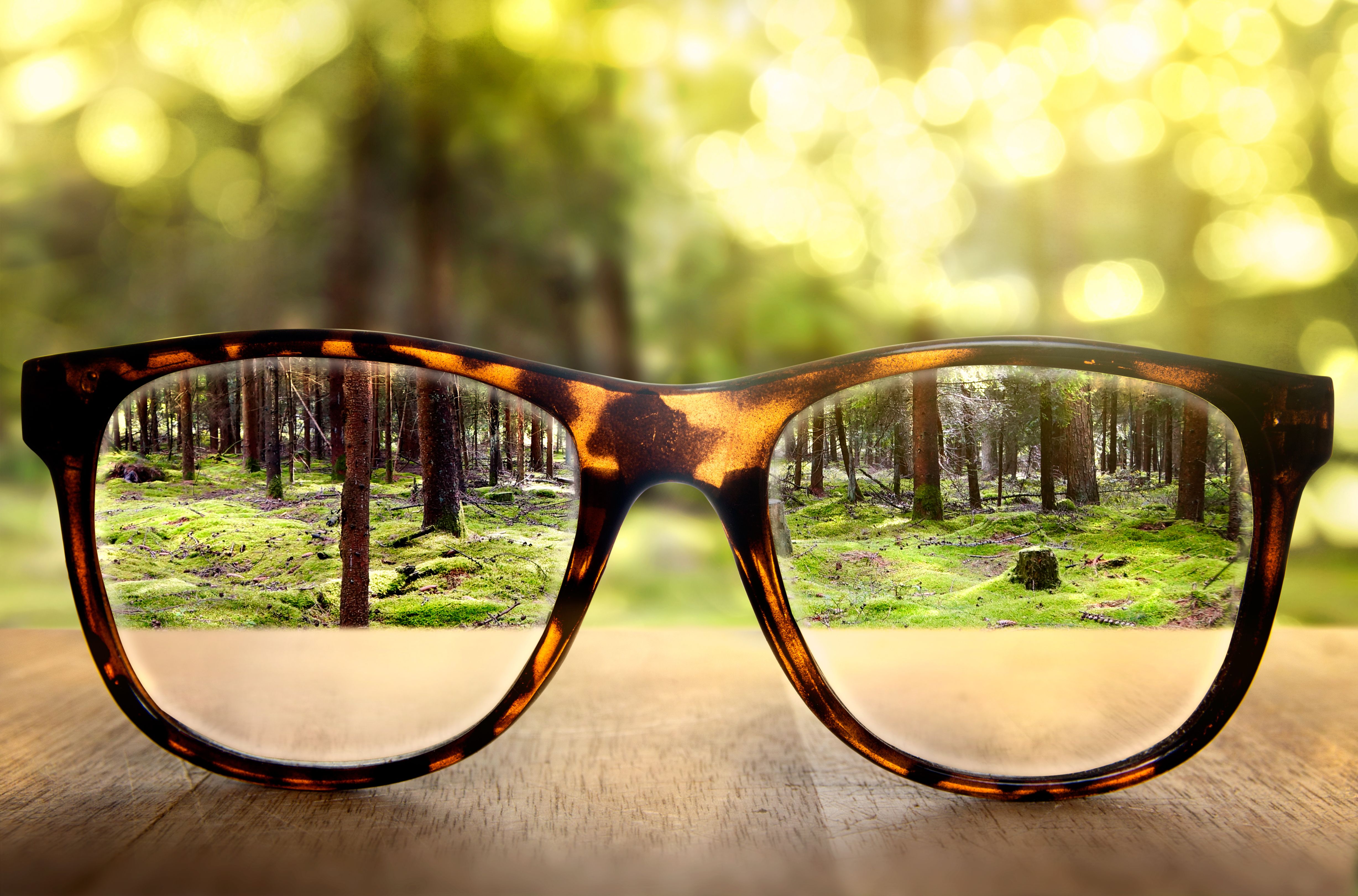 Pros and Cons of Low Vision Devices: Which Is Best for Me?