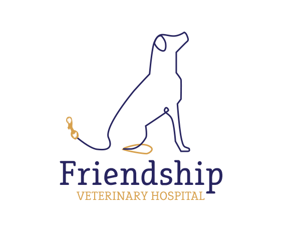 Vets Pet Boarding In Fort Walton Beach Fl Friendship