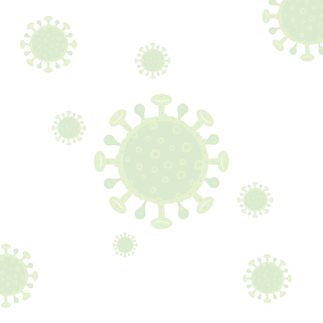 Forest Lakes Animal Clinic