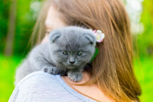 cat on a woman's shoulder