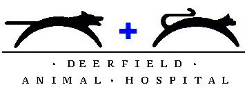 Veterinarians In San Antonio Tx Deerfield Animal Hospital