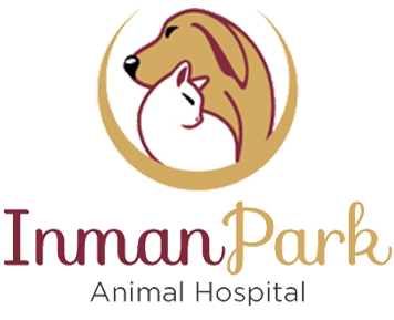 the park veterinary clinic