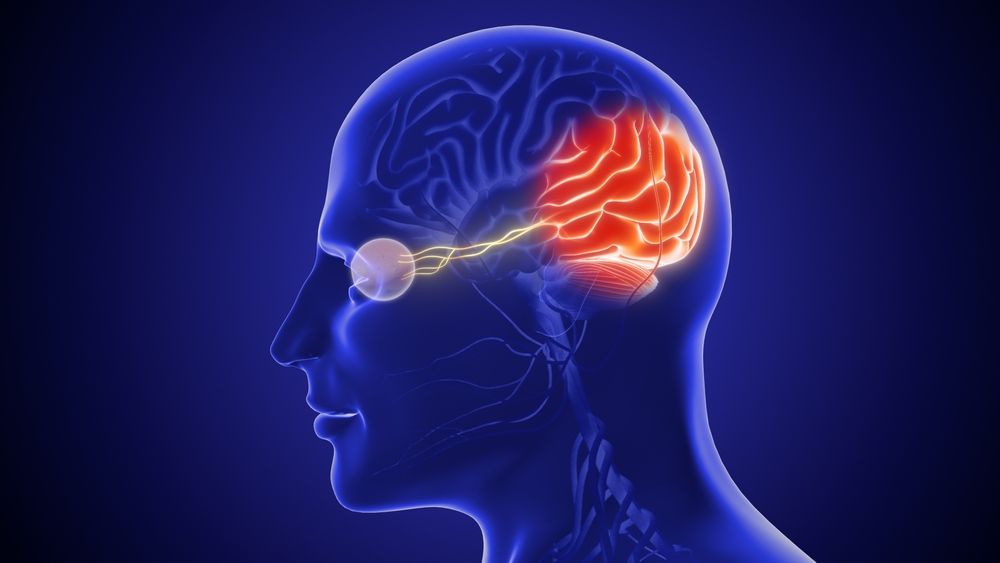 How Does Glaucoma Affect the Optic Nerve?