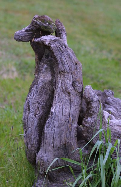 Beautiful wood on perfect lighting