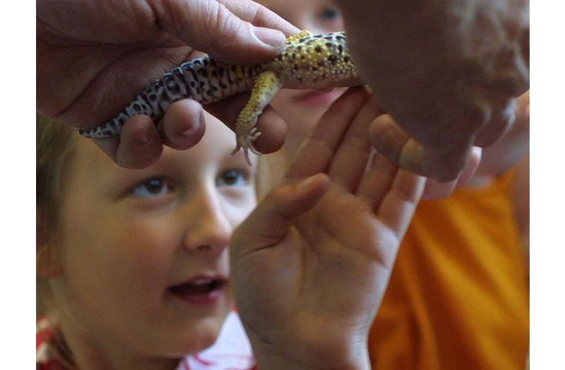 David petting Lizard