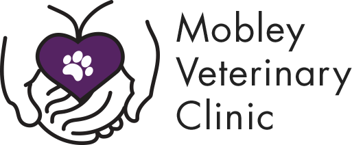 Mobley Veterinary Clinic Veterinarian Pet Boarding Pet Grooming In East Nashville Tn