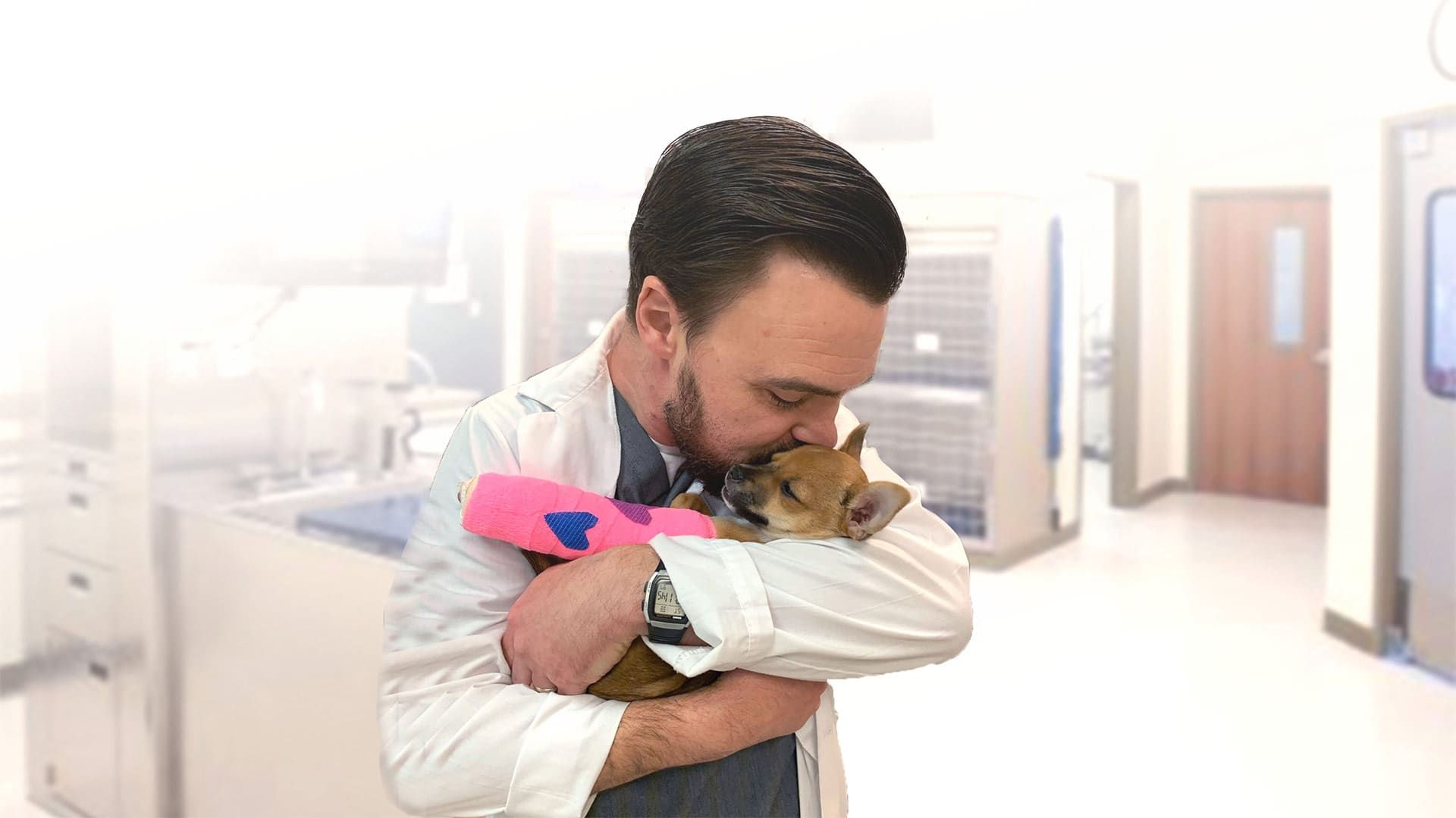 Cherry Hill Animal Hospital A Animal Hospital In Antelope Ca Cherry