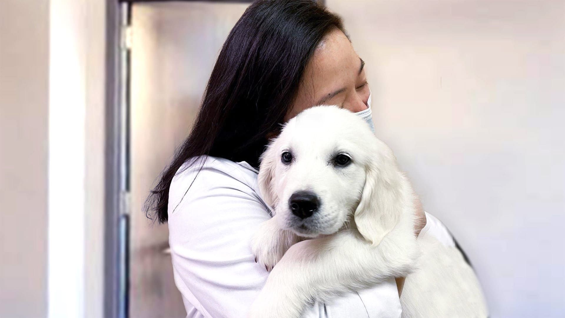 Veterinarians Greenwood Village Co Cherry Hills Animal Hospital