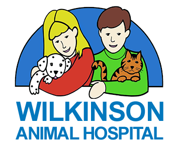 Meet The Team Of Wilkinson Animal Hospital In Gastonia Nc