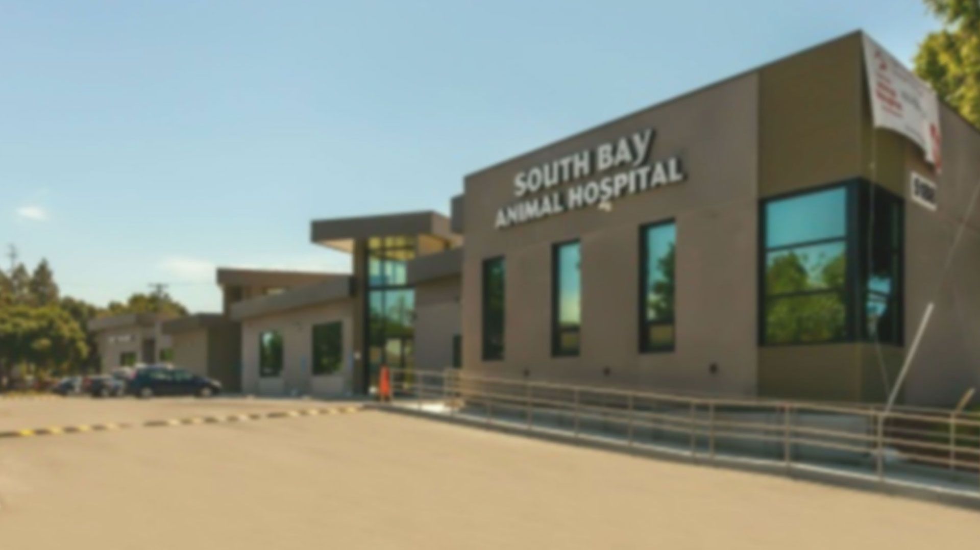 emergency animal hospital south