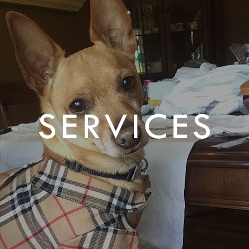 Services