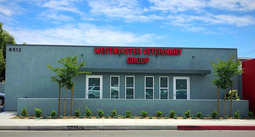 About Westminster Veterinary Group