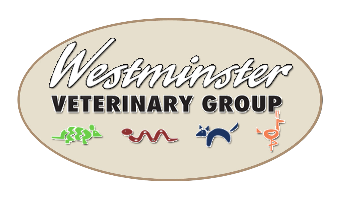 Veterinarians in Westminster CA Westminster Veterinary Group