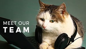 Meet Our Team