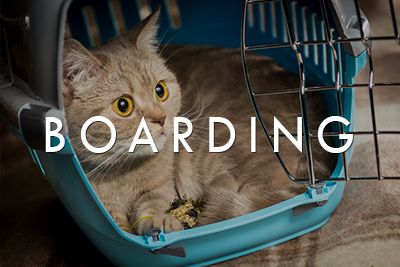 Boarding