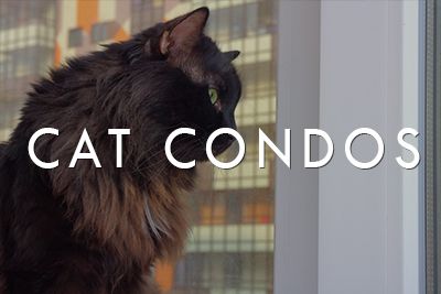 Cat Condos