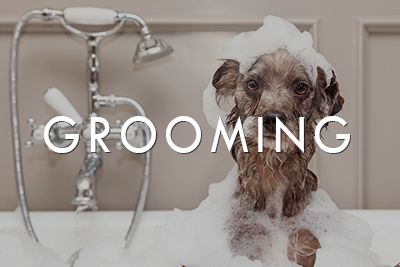 Grooming