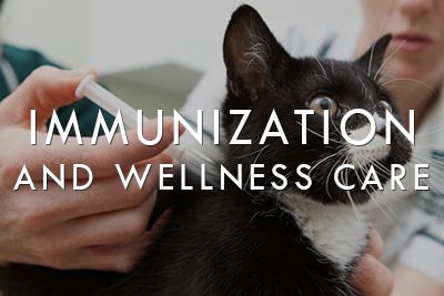 Immunization and Wellness Care