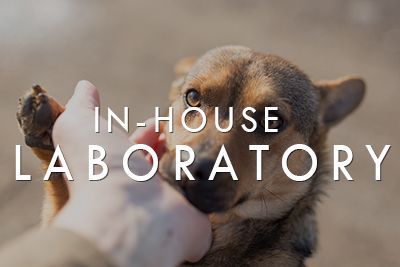In-house Laboratory