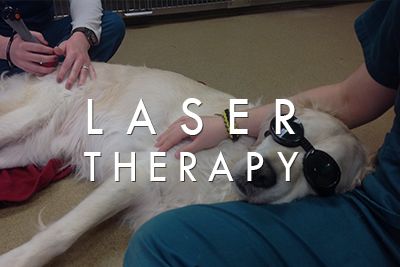 Laser Therapy