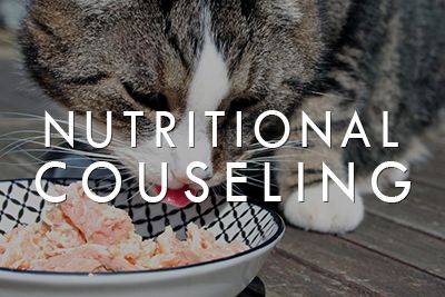 Nutritional Counseling