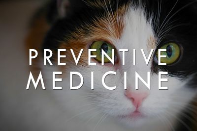 Preventive Medicine