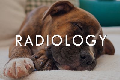 Radiology